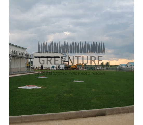 Озеленение крупного кролиководческого комплекса - фото - 17