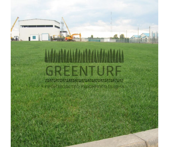 Озеленение крупного кролиководческого комплекса - фото - 20